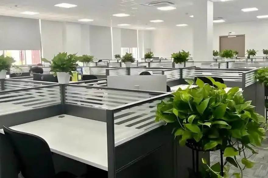 看个球用户反馈头像示例二